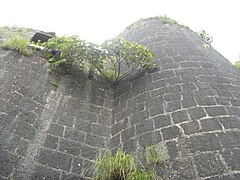 Purandar fort 101.JPG