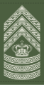 2014-2016, the standard insignia for all Sergeants Major in the Danish army