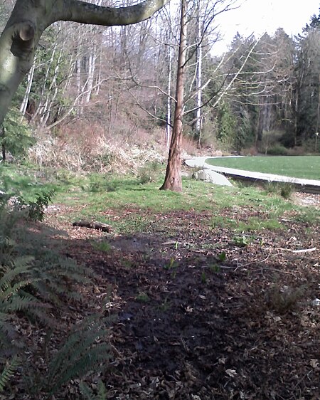 Ravenna creek headwaters