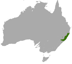 Red-necked Pademelon area.png