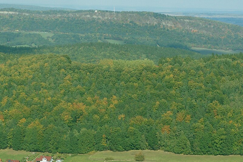 File:Reitzenberg Kambühl Hörselberg.jpg