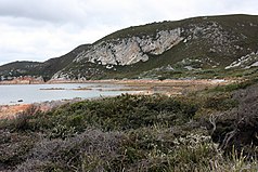 Rocky Cape 2009.jpg