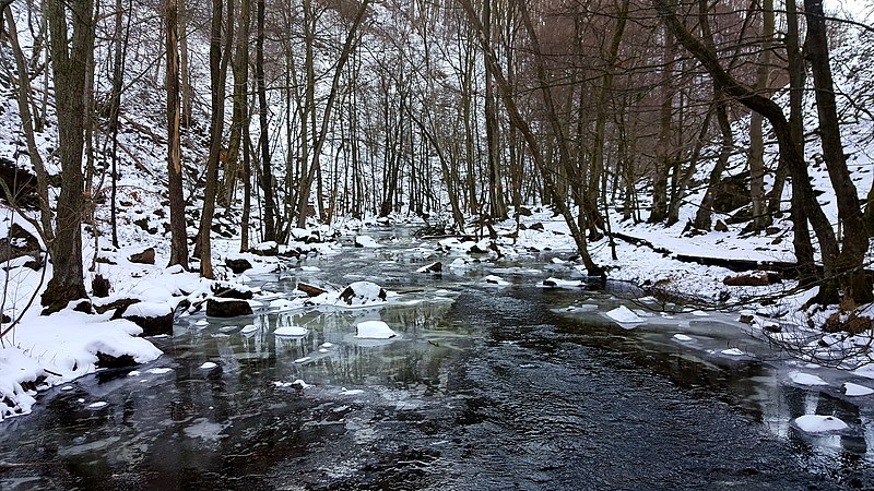 File:Söderåsen National Park thawing.jpg