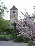 Michaelskirche (Wangen)