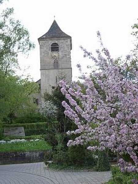 S wangen michaelskirche