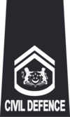 SCDF WO2.png