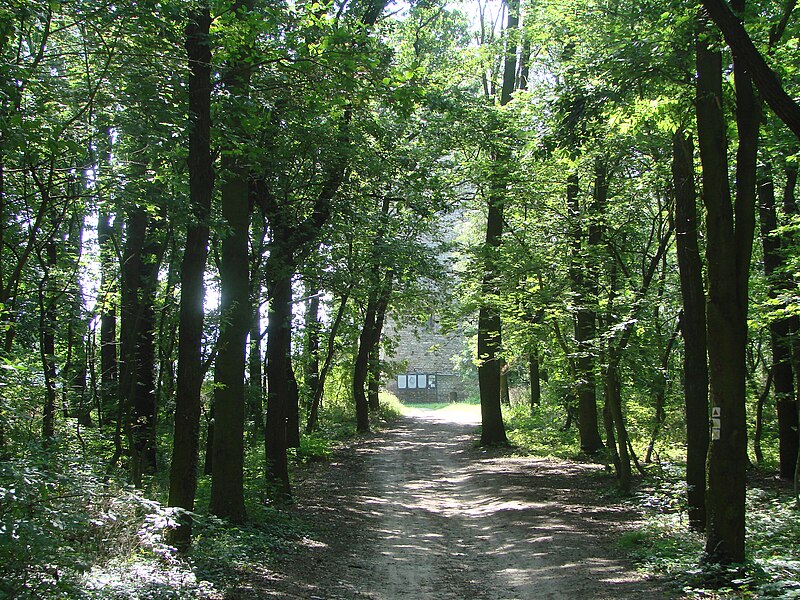 File:Sachsenburg Weg zur Unterburg - panoramio.jpg