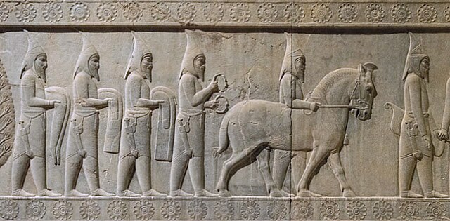 Sakā Tigraxaudā tribute bearers to the Achaemenid Empire, Apadana, Staircase 12.
