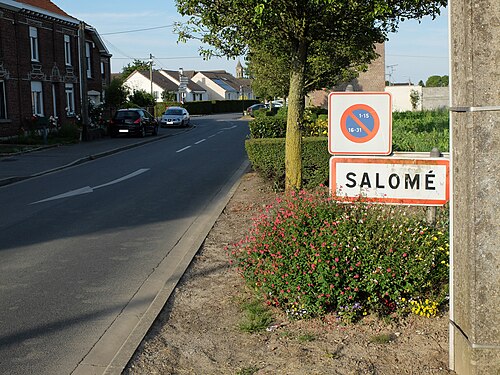 Serrurier porte blindée Salomé (59496)