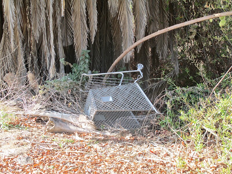 File:Santa Ana River Trail IMG 0097 (13408391205).jpg