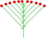 Blomställning