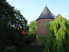 noordtoren met treurwilg, 2018