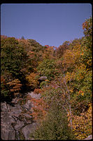 Shenandoah National Park SHEN9144.jpg