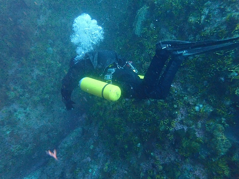 File:Sidemount diver at the Labyrinth reef P7070036.jpg