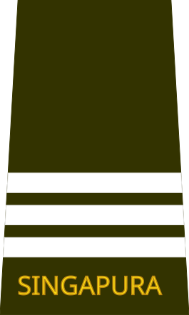 File:Singapore-Army-OF-(3D).svg