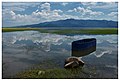 Sintiki, Kerkini lake, fishing boat and reflections.jpg