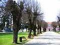 Park in the town center