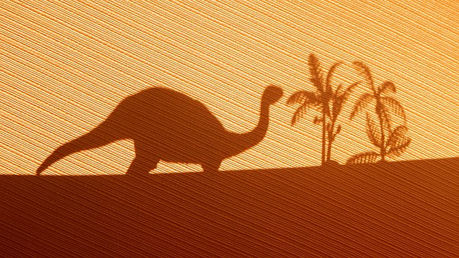 Shadow of a brontosaurus feeding