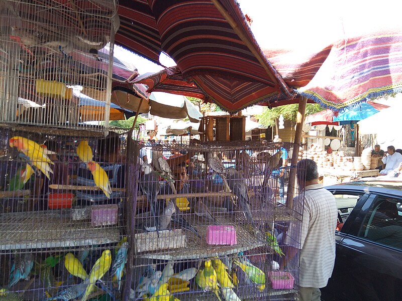 File:Souq al-Goma'a , photo by Hatem Moushir 101.jpg