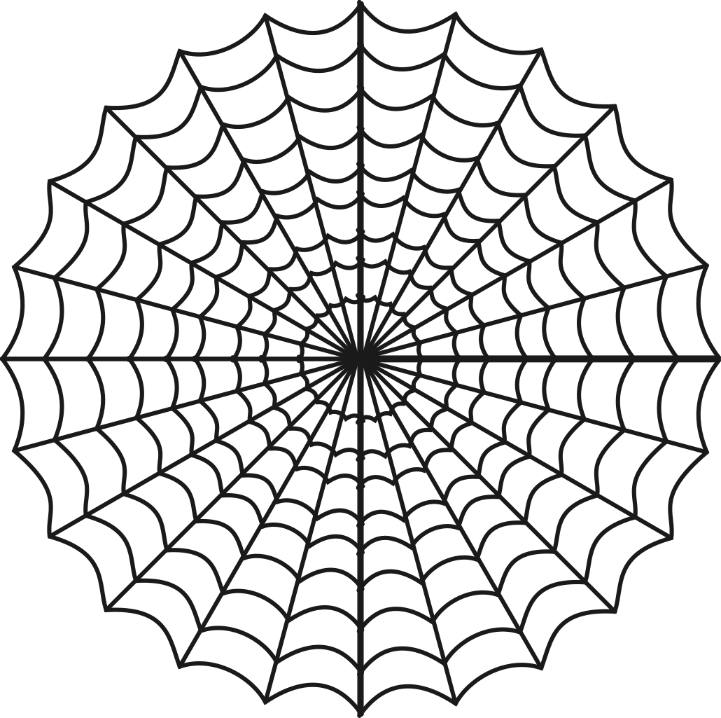 Spider Web