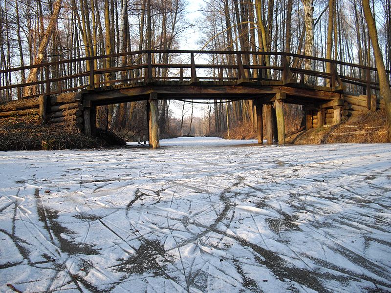 File:Spreewald im Winter - panoramio (14).jpg