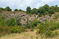 English: Státní lom, an abandoned quarry in the nature park Velký Kosíř. South-west part of the quarry is a national natural monument, but this picture was taken in its north part. Čeština: Státní lom, přírodní park Velký Kosíř. Jihozápadní část lomu je národní přírodní památkou, ovšem tato fotografie byla pořízena v severní části.