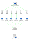 図：StacheldrahtによるDDoS攻撃