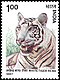 Stamp of India - 1987 - Colnect 164985 - White Tiger Pantera tigris.jpeg