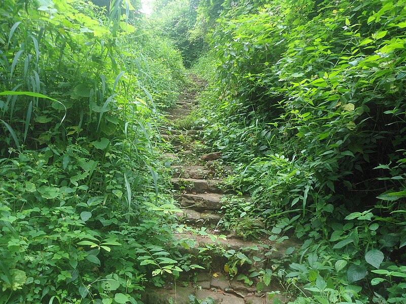 800px-Steps_to_Simhachalam_from_Madhavad