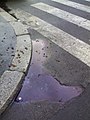 Street Puddle, Milan