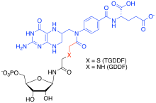TGDDF / GDDF MAIs where blue depicts the tetrahydrofolate cofactor analog, black GAR or thioGAR and red, the connecting atoms.