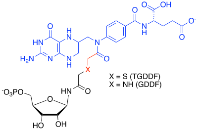 TGDDF / GDDF MAIs where blue depicts the tetrahydrofolate cofactor analogue, black GAR or thioGAR and red, the connecting atoms.