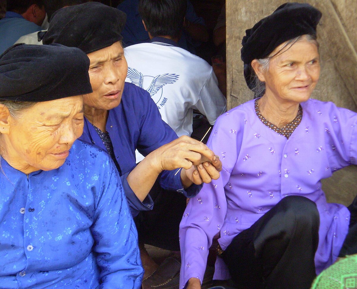 Người Tày – Wikipedia tiếng Việt