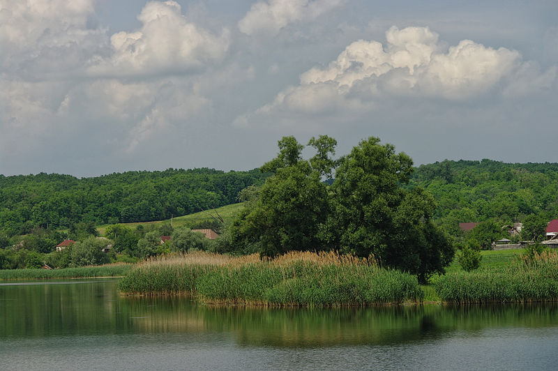 File:Teklinska Dacha.JPG