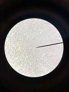 Tetraacetyl Diborate crystals observed under a microscope. Tetraacetyl Diborate.jpg