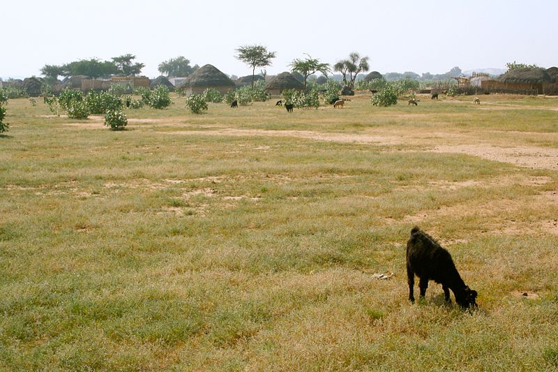 File:Thar Village (6652765027).jpg