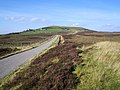 The Road to Knockarthur - geograph.org.uk - 62280.jpg