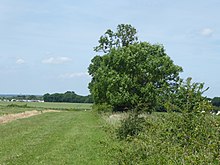 Green belt land in north Havering The very edge of Greater London (geograph 5431145).jpg