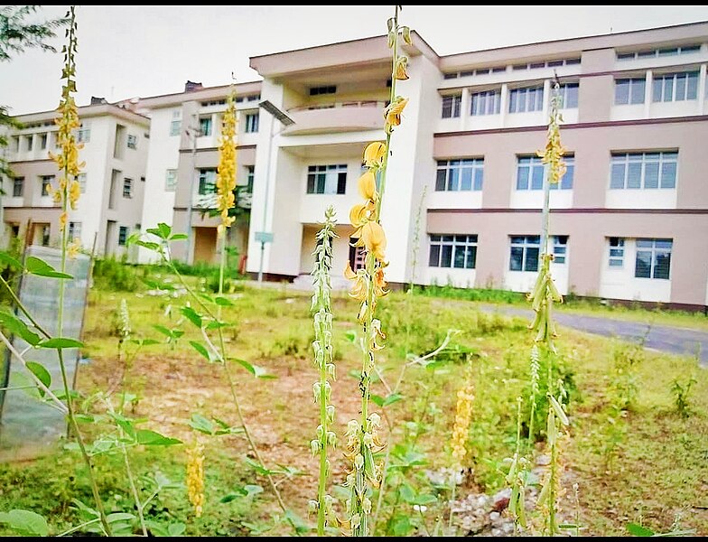 File:This is the Photo of CSE department Barak valley engineering college.jpg