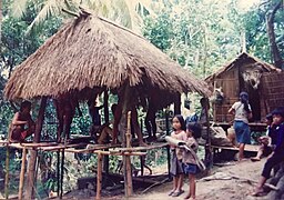 Ifugao 1988