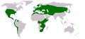 Distribution of the genus Trifolium