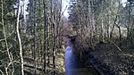 Triftkanal (Loisach-Kochelsee-Moor)