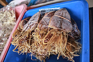 Lebensmittel Tintenfisch: Essbare Kopffüßer