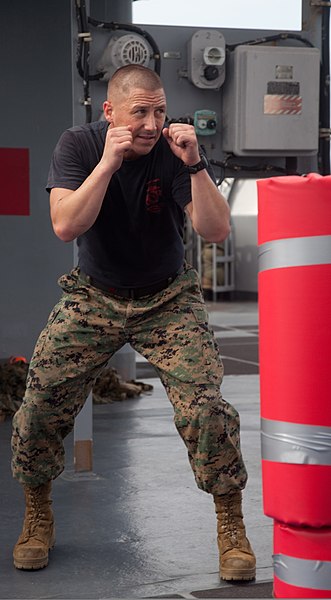 File:U.S. Marine Corps Sgt. Jonathan Benezette demonstrates a fighting stance during Marine Corps martial arts training aboard the dock landing ship USS Oak Hill (LSD 51) during Amphibious-Southern Partnership 111009-A-WF228-025.jpg