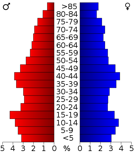 2000 census age pyramid for Greene County