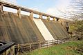 Upper_Tamar_Lake_Dam_Overflowing_-_panoramio