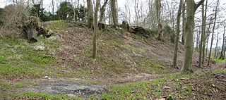 <span class="mw-page-title-main">Vespasian's Camp</span> Iron Age hillfort in Wiltshire, England