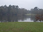 River Bourne, Chertsey