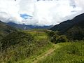 Inka Ruine Vitcos - Rosaspata