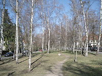 Vogelsang Birch Grove Berlin-Dahlem.JPG